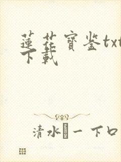 莲花宝鉴txt下载