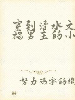 穿到清水文里造福男主的小说