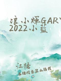 浪小辉GARY2022小蓝