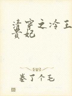 清穿之冷王的皇贵妃