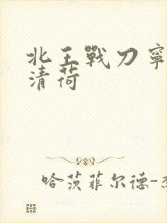 北王战刀宁北苏清荷