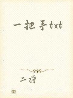 一把手txt