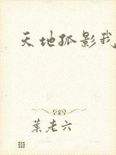 天地孤影我独行