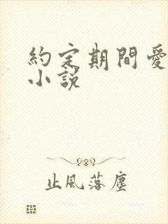 约定期间爱上你小说