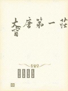 大唐第一庄无弹窗