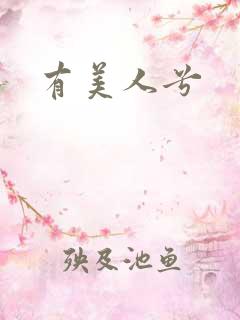 有美人兮