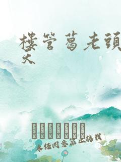 楼管葛老头的春天