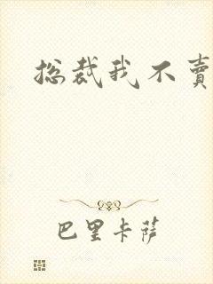 总裁我不卖宝宝