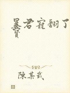 暴君宠翻了小娇宝