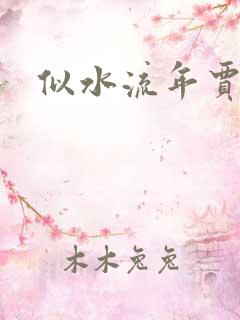 似水流年贾二虎