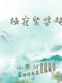 极宠紫酱超人