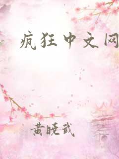 疯狂中文网