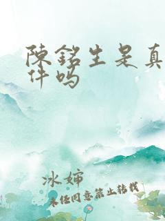 陈铭生是真实事件吗