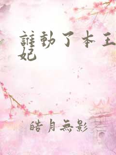 谁动了本王的悍妃