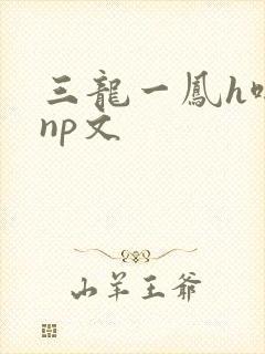 三龙一凤h啪肉np文