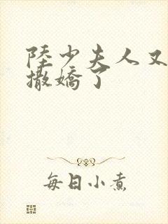 陆少夫人又双叒撒娇了