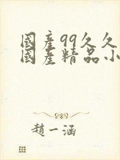 国产99久久久国产精品小说