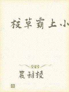 校草霸上小丫头