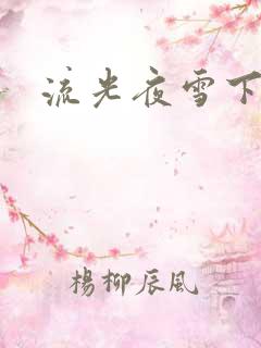 流光夜雪下载