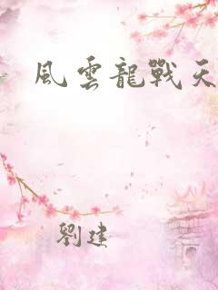 风云龙战天下