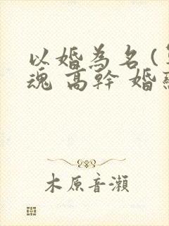 以婚为名 (军魂 高干 婚恋)