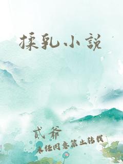 揉乳小说