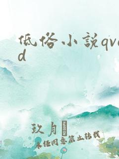 低俗小说qvod