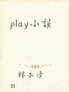 play小说