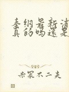 秦纲最新消息是真的吗还是假的