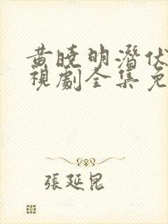 黄晓明潜伏者电视剧全集免费观看