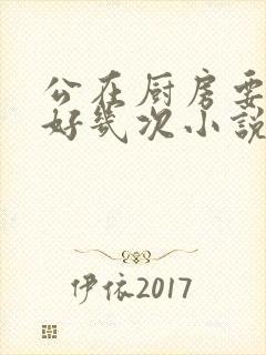 公在厨房要了我好几次小说