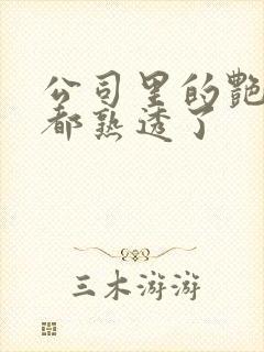 公司里的艳妇们都熟透了