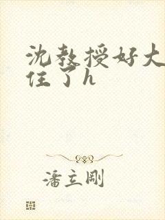 沈教授好大含不住了h