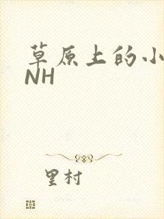 草原上的小公主NH