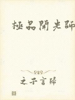 极品开光师阅读