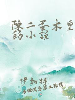 陈二蛋木皇真经的小说