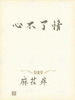 心不了情