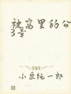 被窝里的公憩第3章