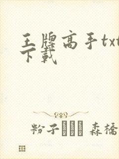 王牌高手txt下载