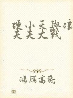 硬小天与浪小辉夫夫大战