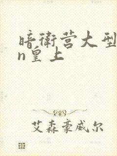 暗卫营大型hpn皇上