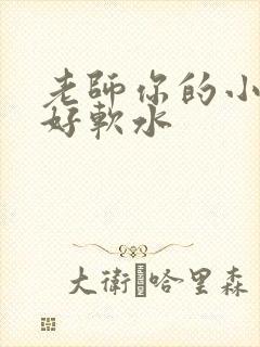 老师你的小兔子好软水