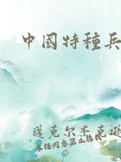 中国特种兵小说