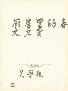 厨房里的春天全文免费