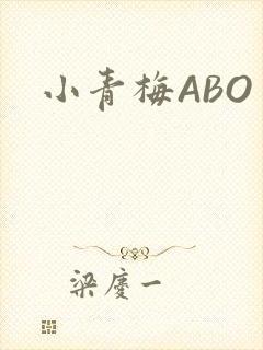 小青梅ABO