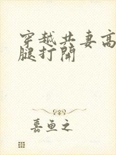 穿越共妻高肉双腿打开