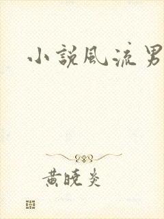 小说风流男护理