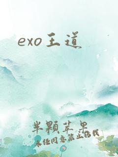 exo王道