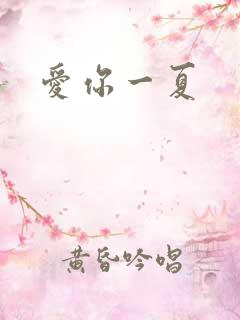 爱你一夏