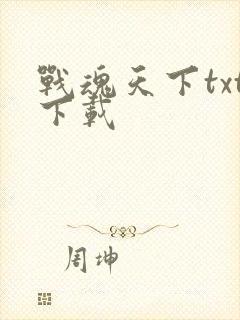 战魂天下txt下载